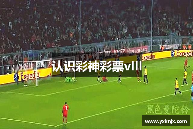 认识彩神彩票vIII
